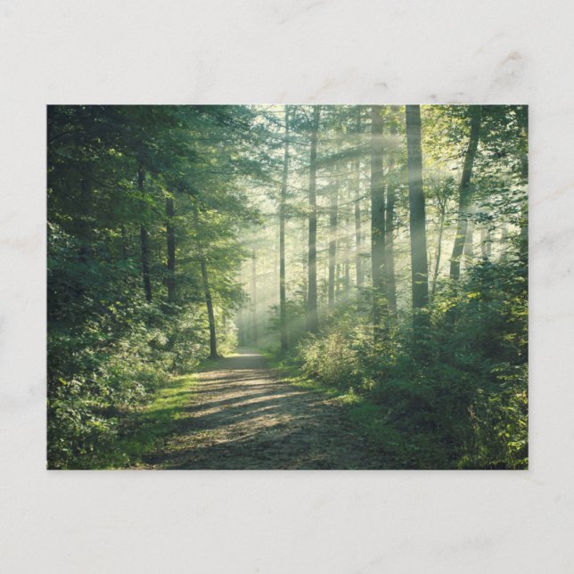 Carte Postale Sunny Octobre Matin à Hambourg (Devant)