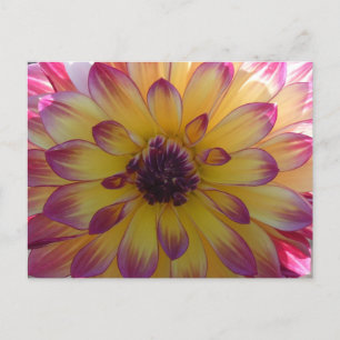 Carte Postale Sunny rose jaune Dahlia Fermer do-it-yourself cart