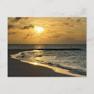 Carte Postale Sunrise Beach