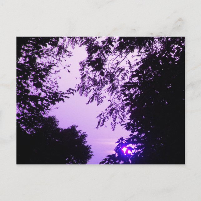 Carte postale Sunrise in Purple (Devant)