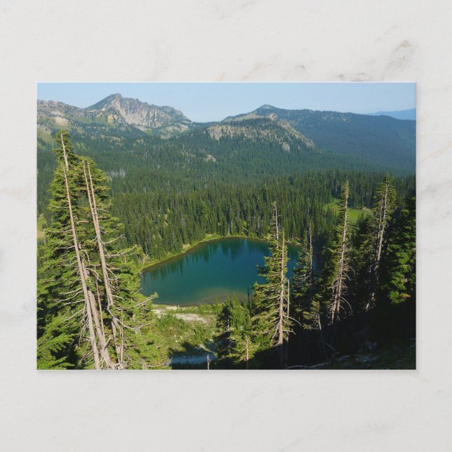 Carte Postale Sunrise Lake de Above au parc Mount Rainier (Devant)