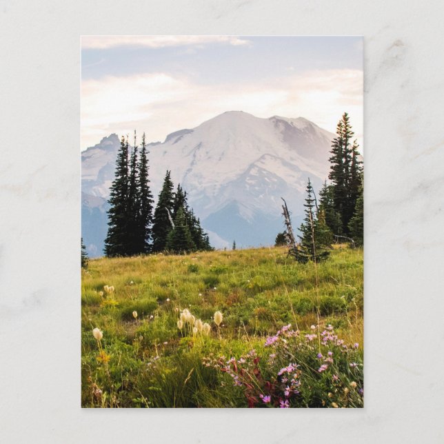 Carte Postale Sunrise Mt. Rainier Gifts (Devant)