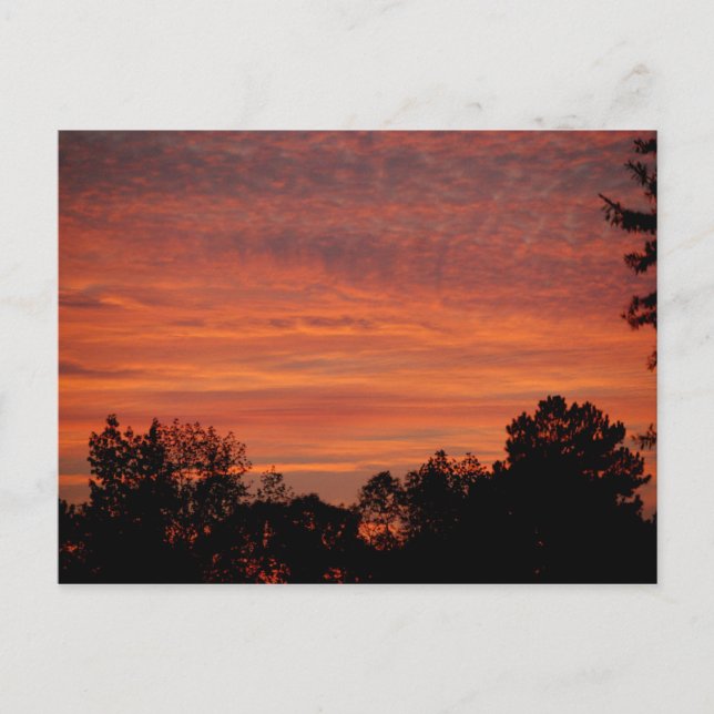 Carte Postale Sunrise Postcard (Devant)