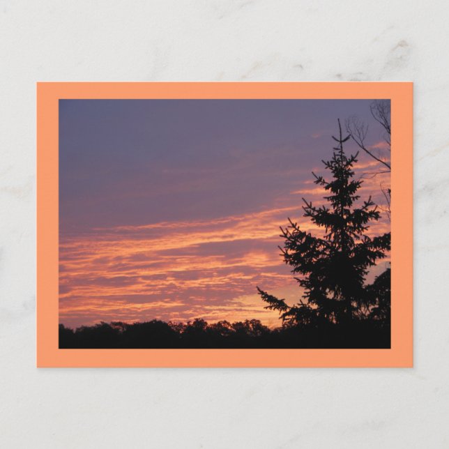 Carte Postale Sunrise saumon (Devant)