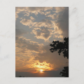 Carte postale Sunset