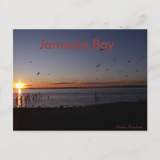 Carte postale Sunset