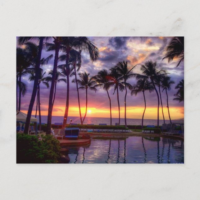 Carte postale Sunset (Devant)