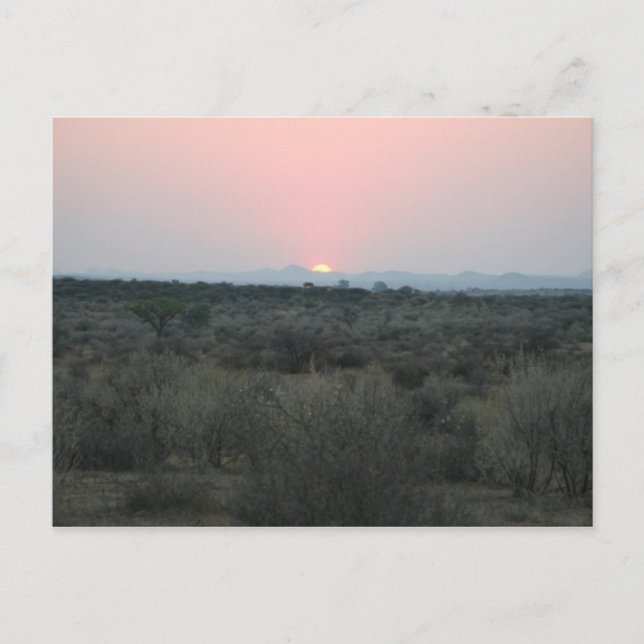 Carte postale Sunset africaine (Devant)