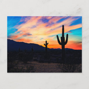 Carte Postale Sunset Cactus Desert Dusk