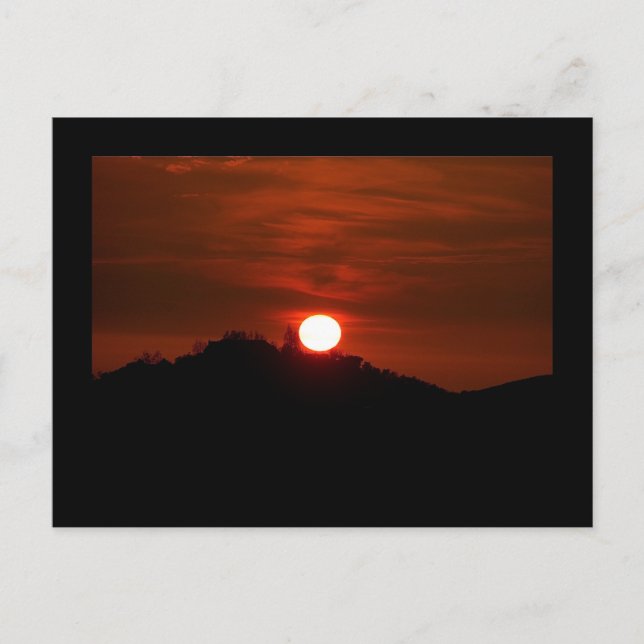 Carte postale Sunset California (Devant)