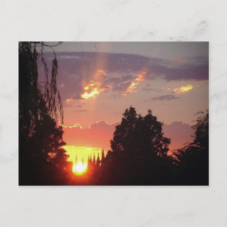 Carte postale Sunset California