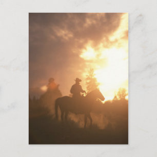 Carte Postale Sunset Cowboy