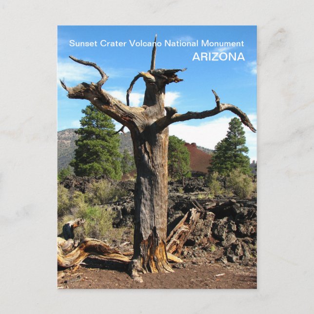 Carte postale Sunset Crater Volcano ! (Devant)