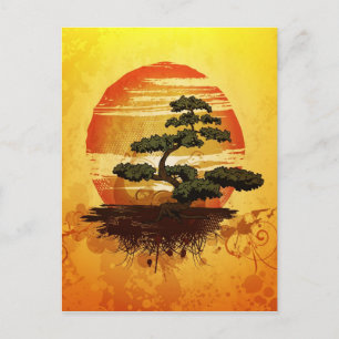 Carte Postale Sunset de Bonsai Tree