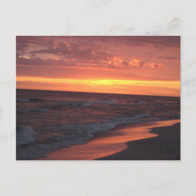 Carte Postale Sunset de l'île Anna Maria (Devant)