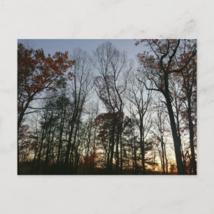 Carte Postale Sunset de novembre