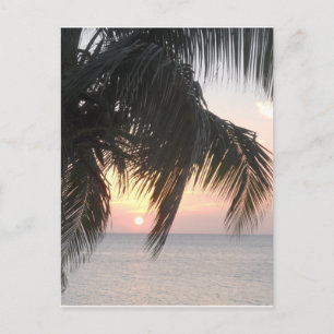 Carte Postale Sunset Doctor's Cave, Montego Bay, Jamaïque