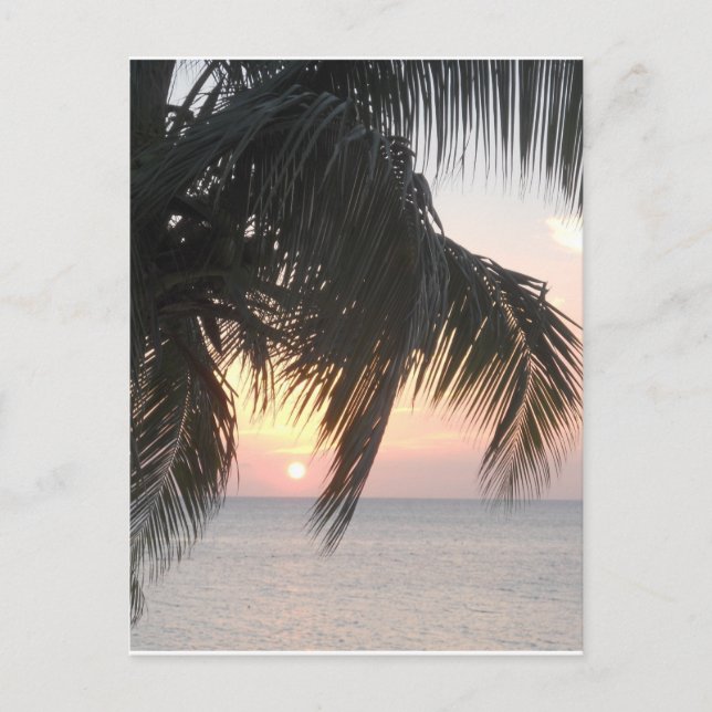 Carte Postale Sunset Doctor's Cave, Montego Bay, Jamaïque (Devant)