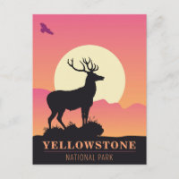 Sunset du parc national vintage Yellowstone