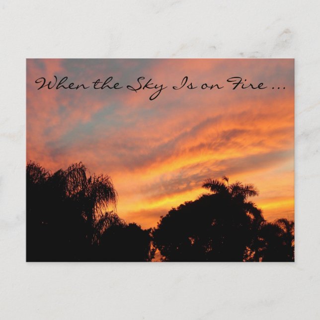 Carte postale Sunset Floride / Quand le ciel est e (Devant)