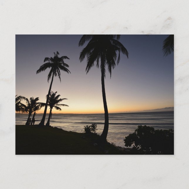 Carte Postale Sunset in the Philippines (Devant)