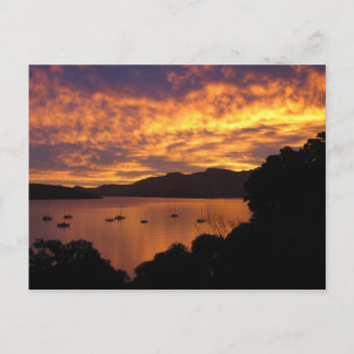 Carte Postale Sunset néo-zélandais