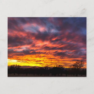 Carte Postale Sunset novembre