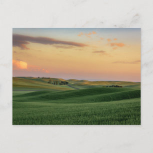 Carte Postale Sunset over Wheat Fields   Washington State