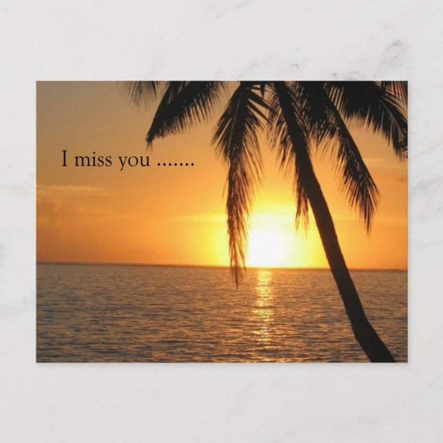 Carte Postale Sunset Palm Beach Peace Love Destiny (Devant)