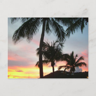Carte Postale Sunset Palms Tropical Paysage Photographie