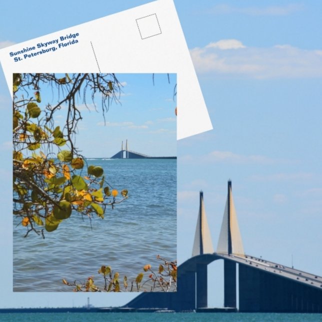Carte Postale Sunshine Skyway Bridge St Petersburg Photographie (Créateur téléchargé)