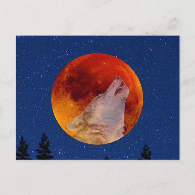 Carte Postale Super Blood Wolf Moon 2019 (Devant)