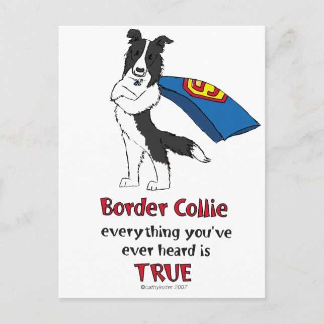 Carte Postale Super Bordure Collie Noir (Devant)