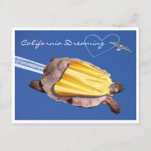 Carte Postale Super ! Gammie Tortoise du désert de Californie