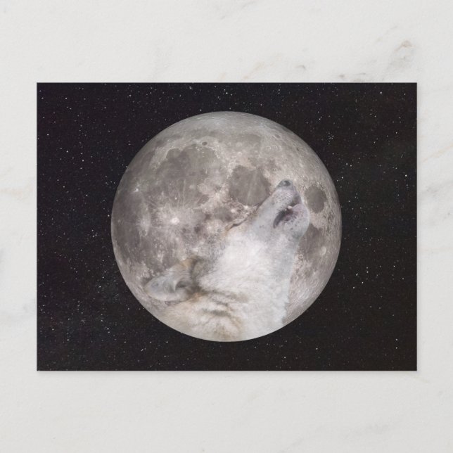 Carte Postale Super Wolf Moon (Devant)
