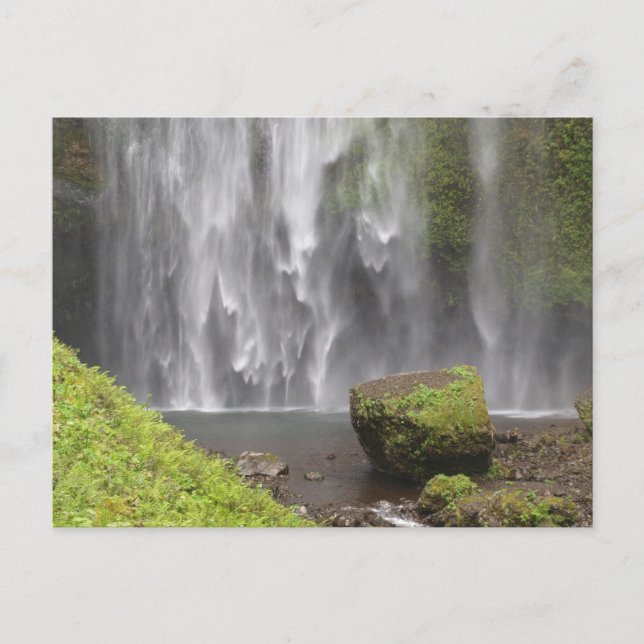 Carte Postale Superbe cascade de l'Oregon (Devant)