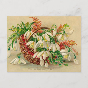 Carte Postale Superbe corbeille de fleurs victoriennes de Snowdr
