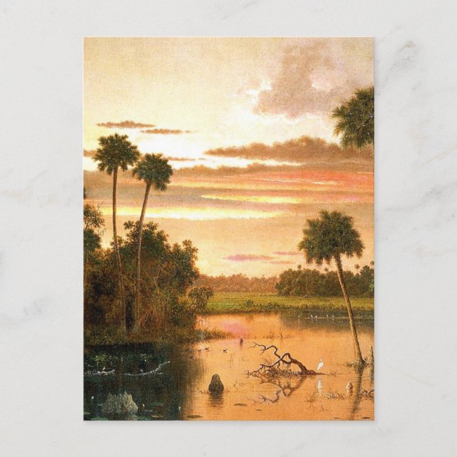 Carte Postale Superbe coucher de soleil en Floride, peinture d'a (Devant)