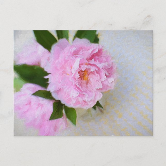 Carte Postale Superbe Peinture rose Peony (Devant)