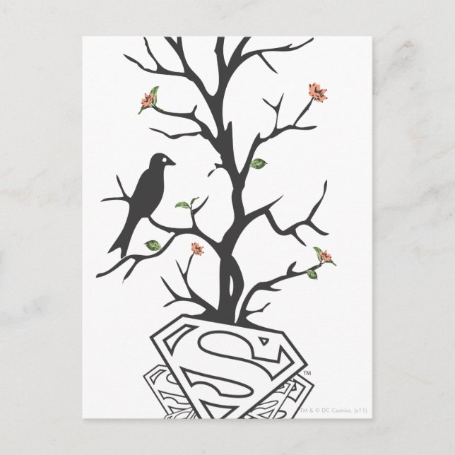 Carte Postale Supergirl Birds in the Tree (Devant)