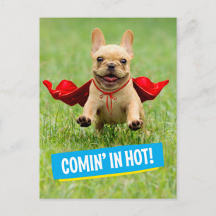 Carte Postale Superhero de chien taureau français mignon tourne
