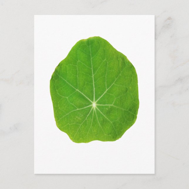 Carte Postale Support Green, Save the Planet (Devant)