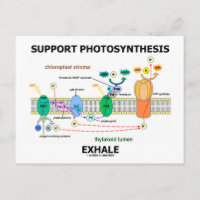 Support Photosynthèse Exhale (Humour de biochimie)