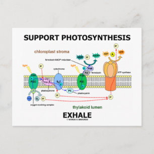 Carte Postale Support Photosynthèse Exhale (Humour de biochimie)