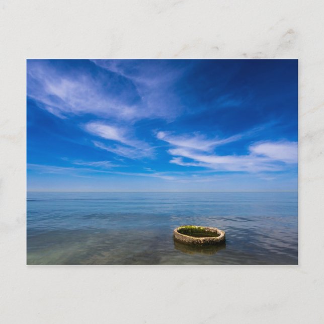 Carte Postale Sur la côte de la mer Baltique (Devant)