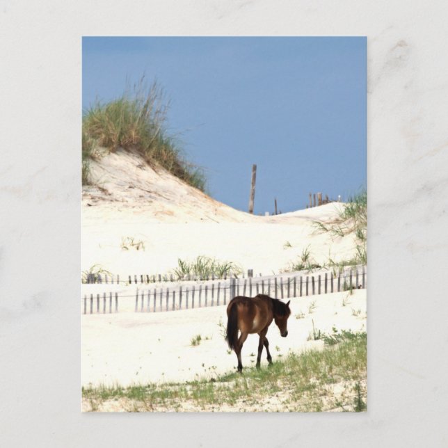 Carte Postale "Sur le bord" (Devant)