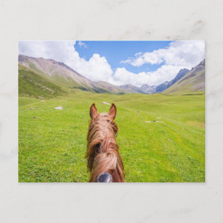 Carte Postale Sur le dos de cheval