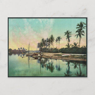 Carte Postale Sur le fleuve Miami, rare Photochrom