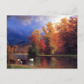 Carte Postale Sur le Saco