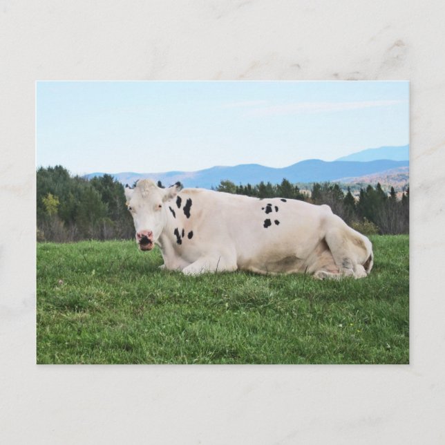 Carte Postale Sur le terrain (Devant)